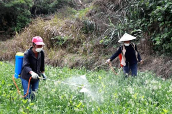 叶面肥施用的注意事项，喷施浓度要适当