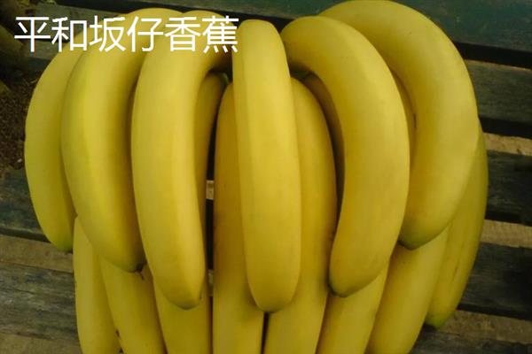 哪些地方产的香蕉有名气，平和坂仔、天宝的香蕉比较出名