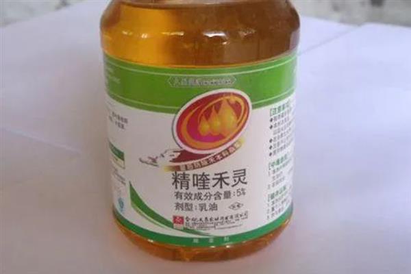 如何控制南瓜疯长，可以对南瓜适时摘顶