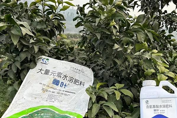 复合肥和水溶肥有什么区别，营养成分、使用方式和用量、作用效果均不同