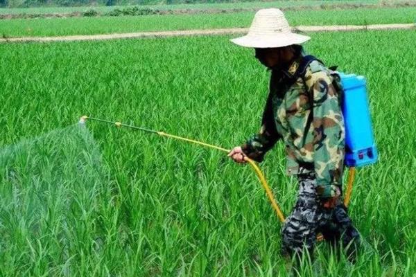 喷施除草剂第二天下雨会不会影响效果，主要取决于药物种类、降雨量和时长
