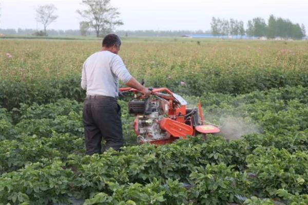 喷施除草剂第二天下雨会不会影响效果，主要取决于药物种类、降雨量和时长