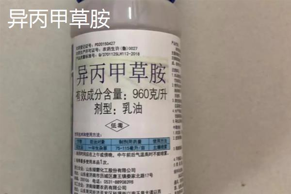 喷施除草剂第二天下雨会不会影响效果，主要取决于药物种类、降雨量和时长
