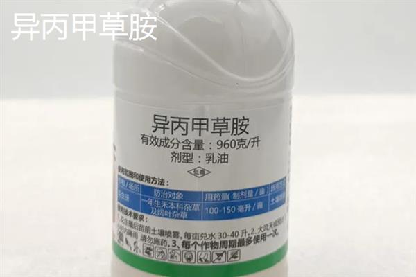 喷施除草剂第二天下雨会不会影响效果，主要取决于药物种类、降雨量和时长