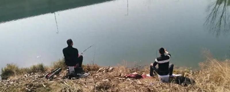 传统钓是使用溪流竿还是鲇竿，应根据钓法、钓场等条件做决定