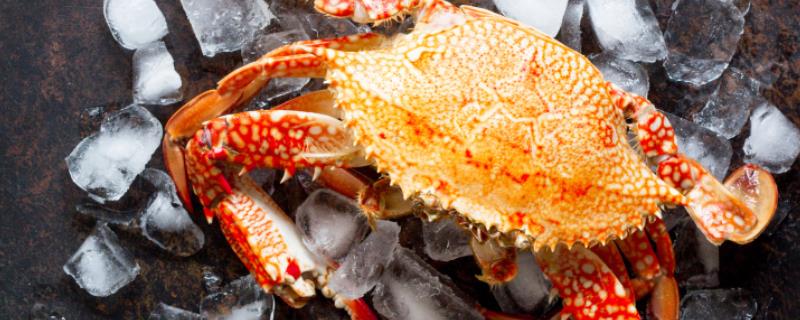 水果蟹吃什么，以鱼虾、水草、水藻等动植物为食