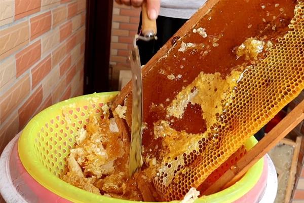 没有摇蜜机如何取蜂蜜，只能采用传统方式取
