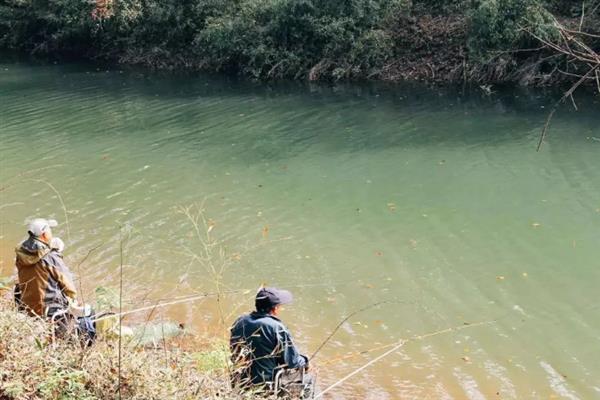 野钓适合拉饵还是搓饵，因钓点、鱼情、水情等因素而异