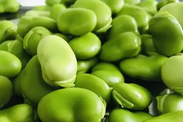 蚕豆是酸性食物还是碱性食物，属于碱性食物