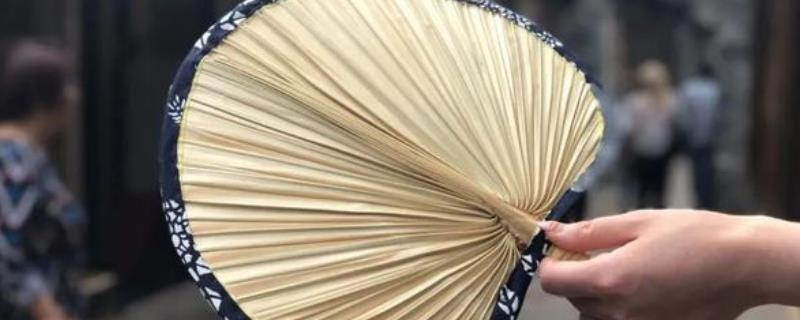蒲扇是用哪种叶子做成的，是用蒲葵的叶子做成的