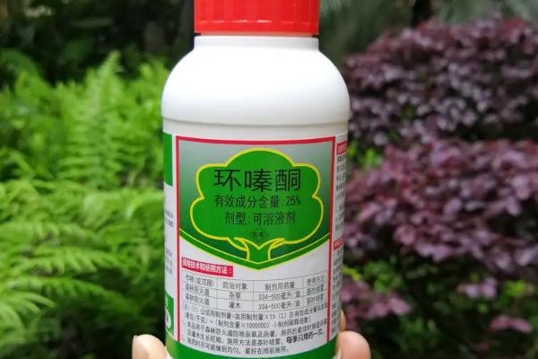 能杀死大杂树的是什么除草剂，可选用环嗪酮、草甘三氯吡