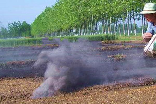 草木灰的使用方法，可以用草木灰与有机肥混合作底肥
