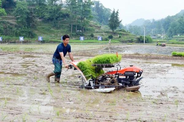 水稻插秧机调整工作，包括插秧工作部分和整机性能的调整