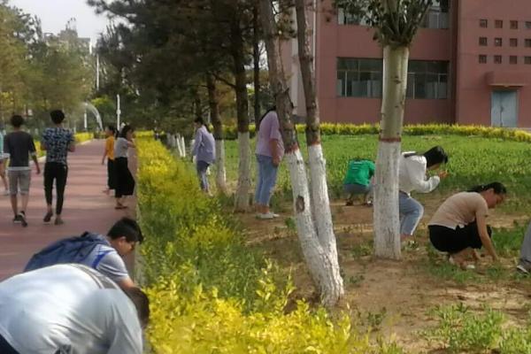 除草的方式有哪些，可物理、化学和生物除草