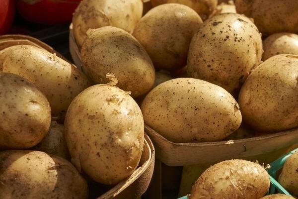 土豆存放温度多少为宜，适宜贮藏温度为0-5℃