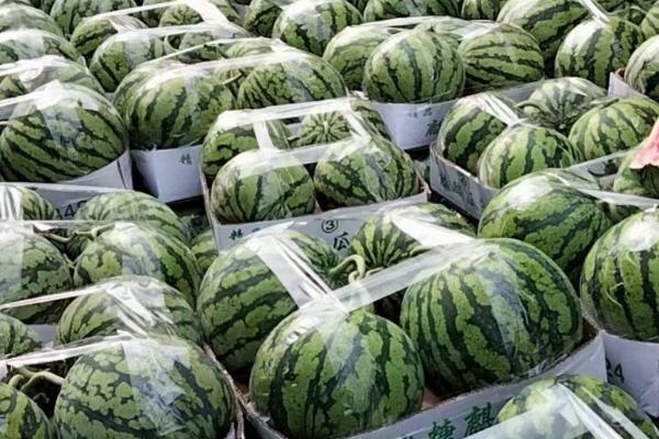 江西有的水果特产，常见的有杨梅、井冈蜜柚、荸荠等