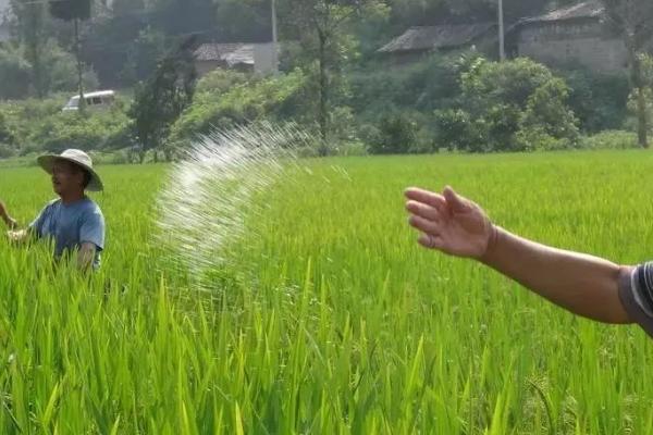 生物钾肥的作用机理，钾和矿物接触后会产生一系列的酶