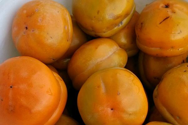 硬柿子的皮能不能吃，通常在吃之前必须要削皮