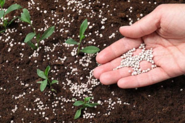 氮肥的施用量，需结合地力、氮肥利用率、作物需氮量调整