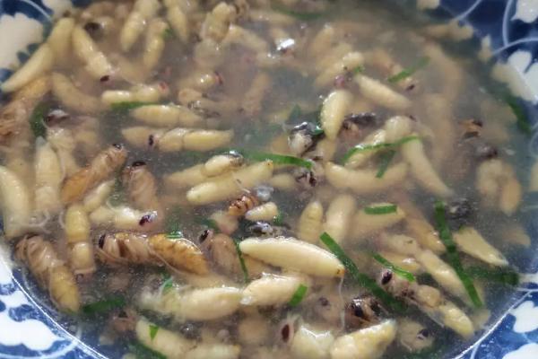 蜂蛹怎么吃，可清蒸、油炸或泡酒等