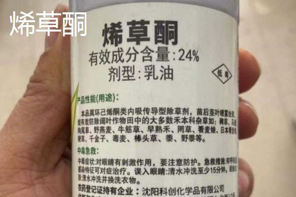 烯草酮和精喹禾灵有什么区别，前者属于茎叶除草剂、后者属于低毒除草剂