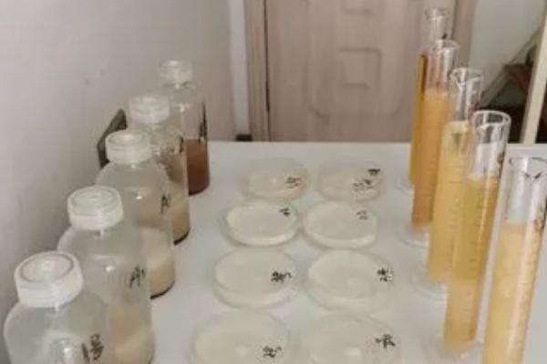 怎么制作菌种，不同级别的菌种制作方法不同