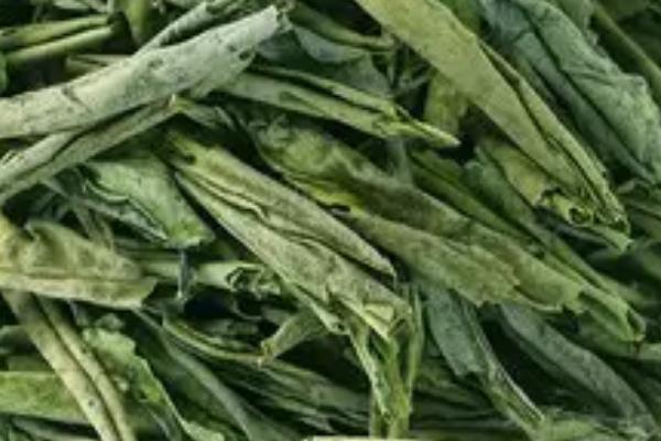 六安瓜片是不是绿茶，为绿茶特种茶类