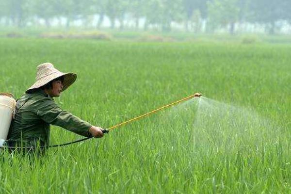 乙羧氟草醚的使用范围，一般适用于大麦、大豆、甘蔗、花生等