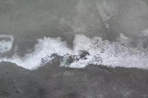 花盆中的土面上有一层白色物质是什么，可能是水垢