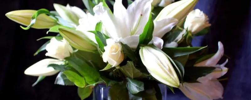 赠送百合与玫瑰花束的含义，代表真挚的爱情