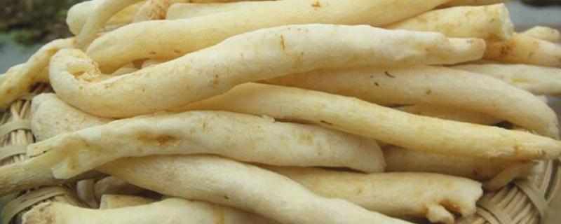 明党参与党参的区别，科属、外形均不同