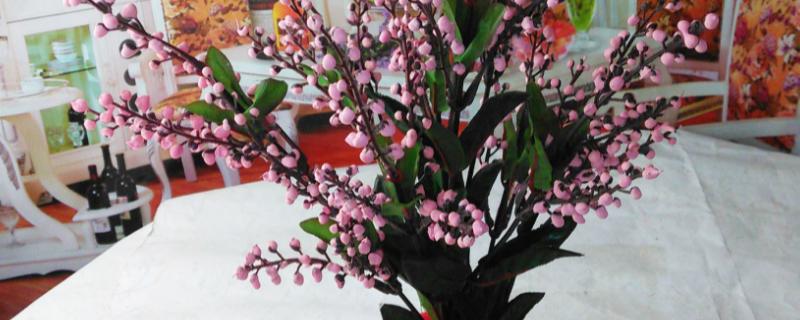 桃花的养殖方法，养殖的过程中一定要保证光照充足