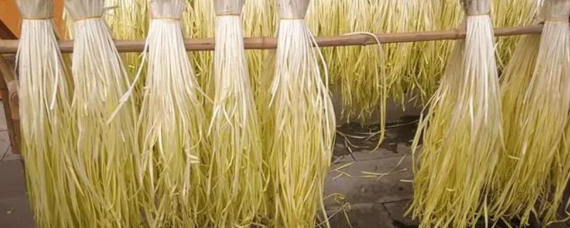 韭黄和蒜黄的区别，外形、味道均不同