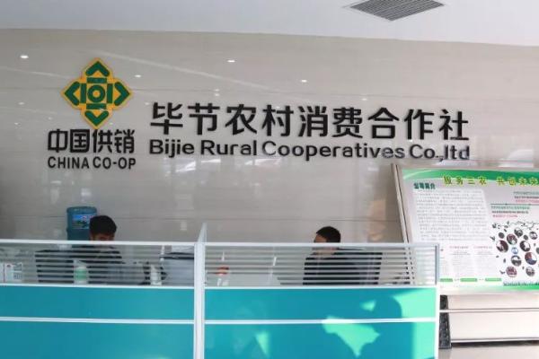 合作社经济属于什么性质，属于中国新型的组织形式