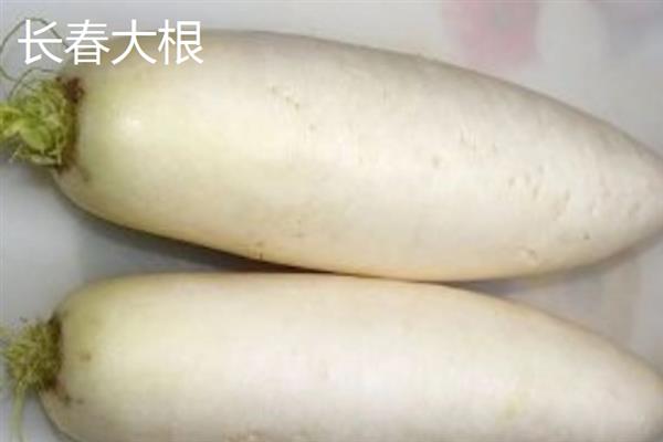 白萝卜的品种，常见的有长春大根、白玉大根等