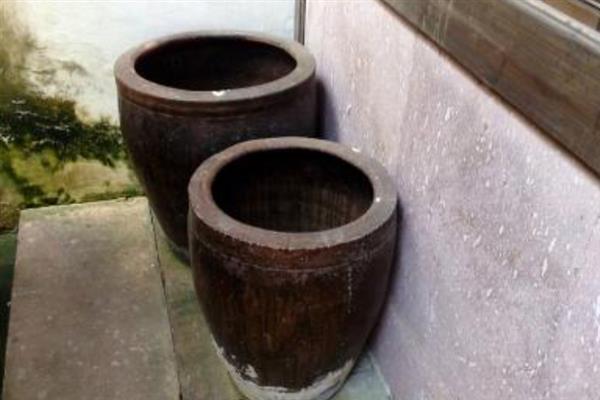 白萝卜的品种，常见的有长春大根、白玉大根等