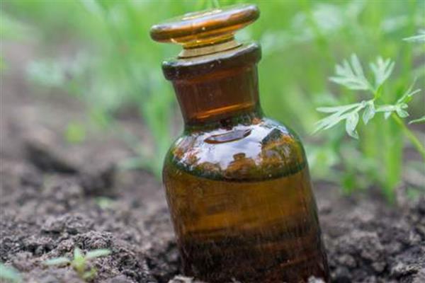 小麦除草剂什么时候使用，入冬前分蘖和第二年小麦拔节的初期为佳