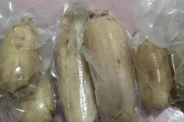 如何用泥土埋藏莲藕，分露地埋藏和室内埋藏两种