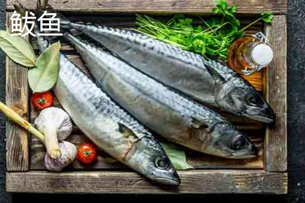 海洋鱼类的肉都很咸吗，并不是所有海水鱼的肉都很咸