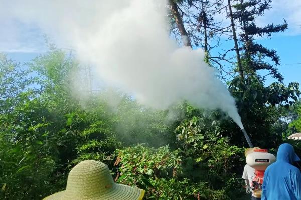 松材线虫病对人的危害，目前还没有发现对人有危害