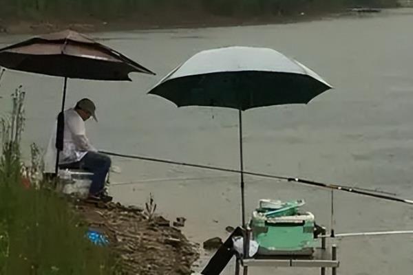 晚上下雨钓鱼有口吗，如果温度较低的话开口状态则不好