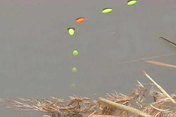 七星漂挂双钩调漂的方法，调漂之前先要找底