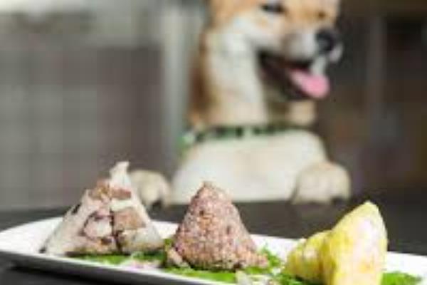 狗狗可以吃粽子吗，肉粽不建议给狗吃