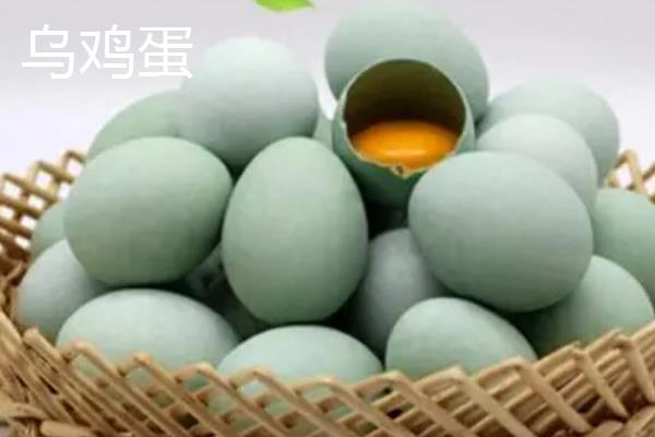 鸡蛋与乌鸡蛋有什么区别，普通鸡蛋呈淡白色或土黄色、乌鸡蛋大多呈绿色