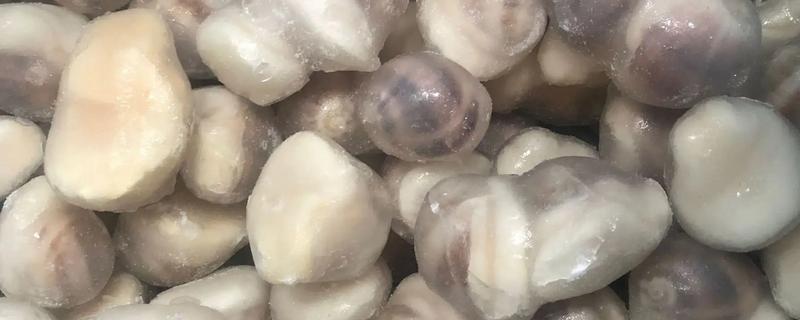 珍珠鲍螺的产地，主要分布在广东、湖南、江苏等地