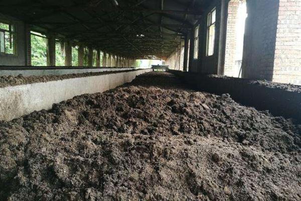 马粪能直接当肥料吗，没有经过发酵不宜直接当成肥料