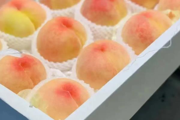水蜜桃如何保存，可冰箱保存或泡沫箱保存