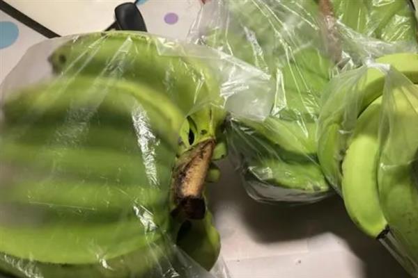 催熟香蕉的土方法，可以装入塑料袋中封紧并放入温暖位置