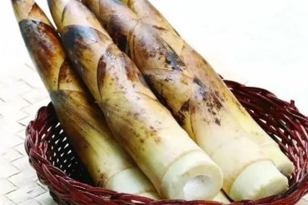 笋的主要品种有哪些，以毛竹笋、早竹笋、尖头青笋等品种为主