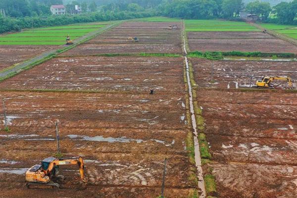 培育高产稳产田有哪些措施，首先做好农田基本建设工作